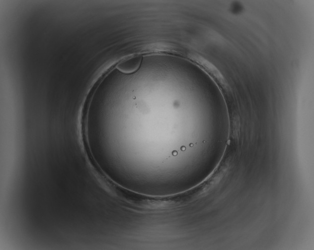 X0000101091039200806261447