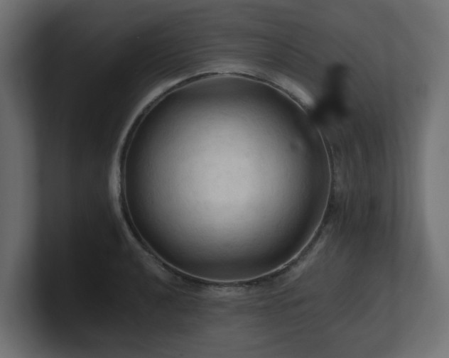 X0000101091040200806261447