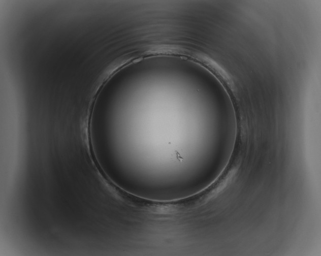 X0000101091041200806261447