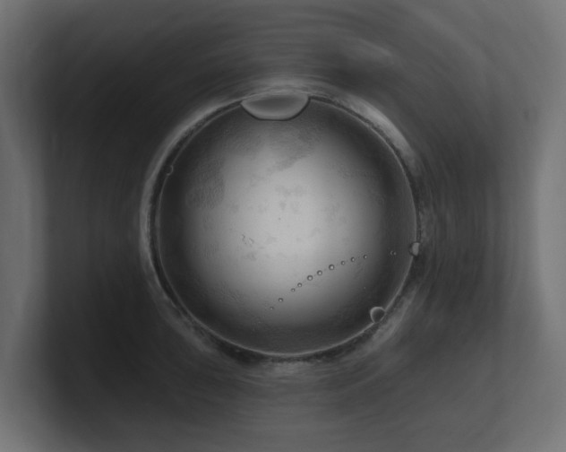 X0000101091043200806261447