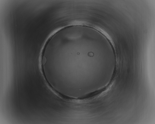 X0000101091045200806261447