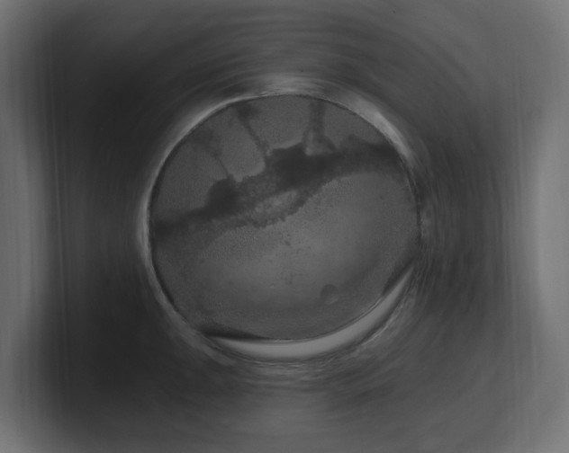 X0000101091047200806261447