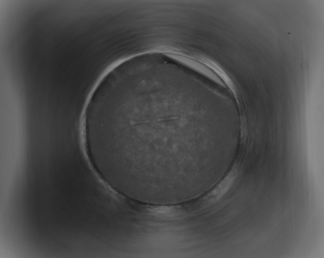 X0000101091048200806261447