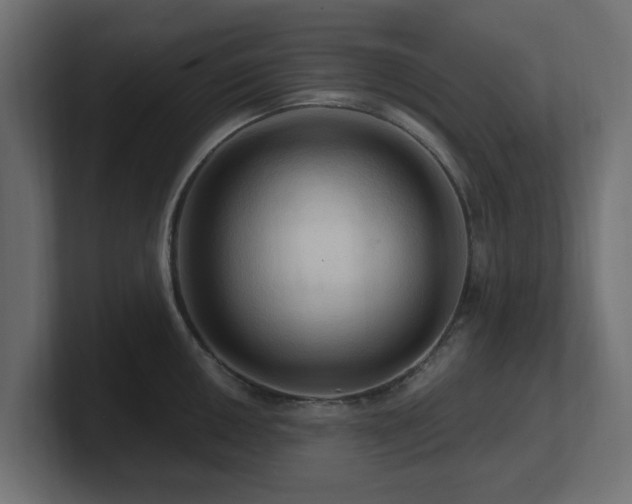 X0000101091050200806261447