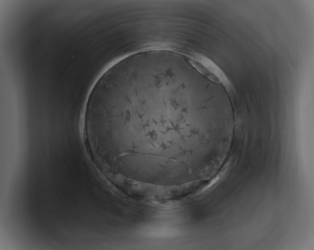 X0000101091052200806261447