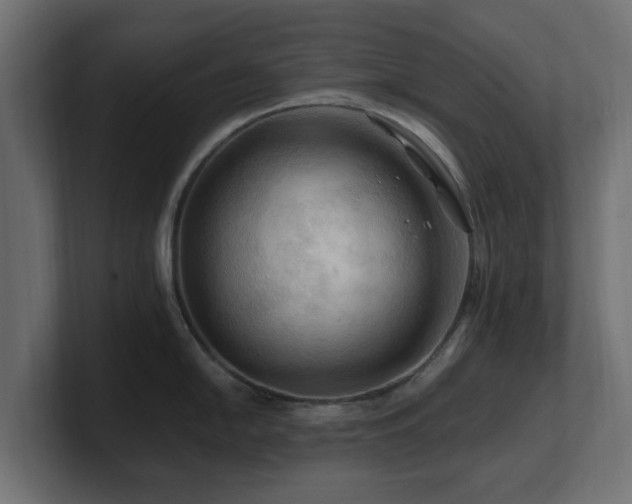 X0000101091054200806261447