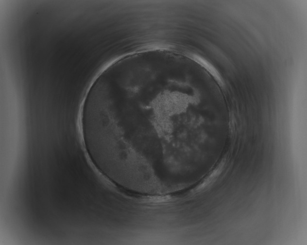 X0000101091055200806261447