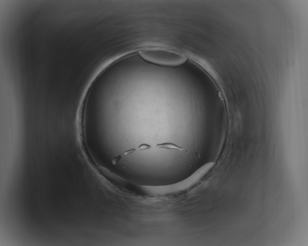 X0000101091056200806261447