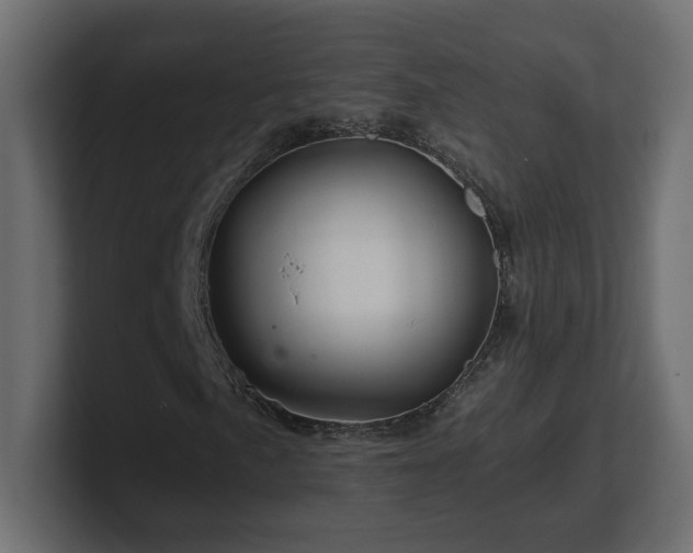 X0000101091057200806261446