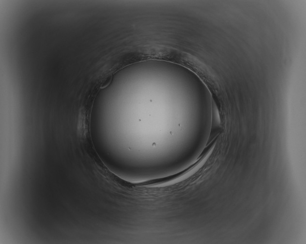 X0000101091058200806261446