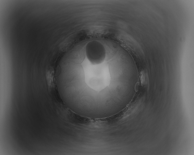 X0000101091059200806261446