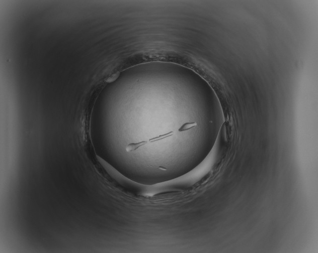 X0000101091060200806261446