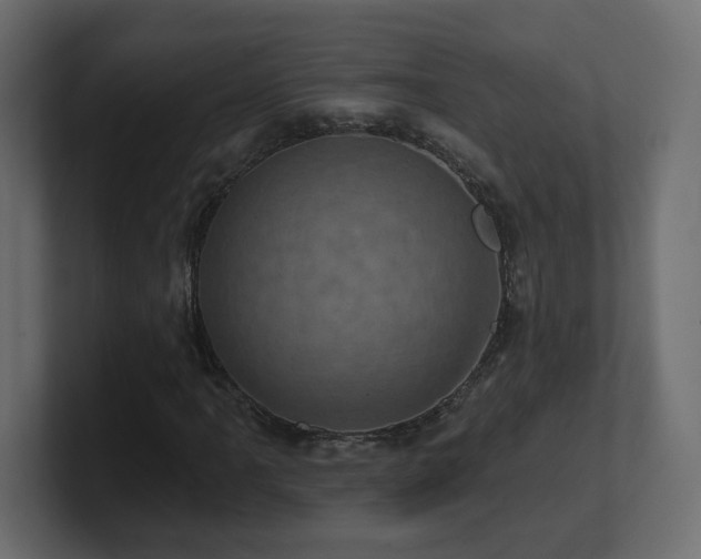 X0000101091061200806261446