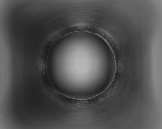 X0000101091062200806261446