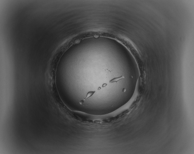 X0000101091064200806261446