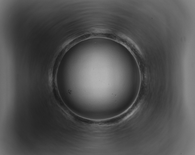 X0000101091065200806261446