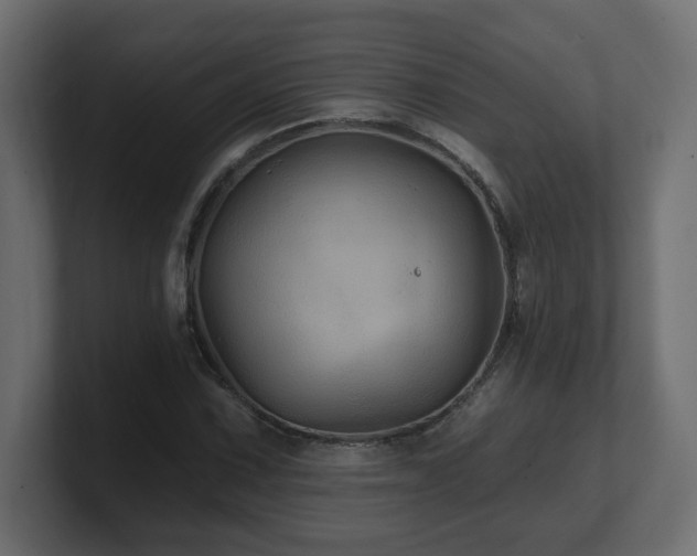 X0000101091067200806261446