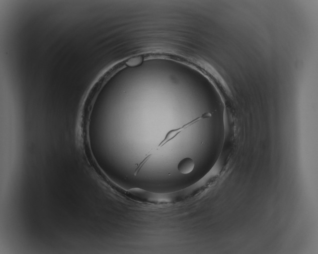 X0000101091068200806261446