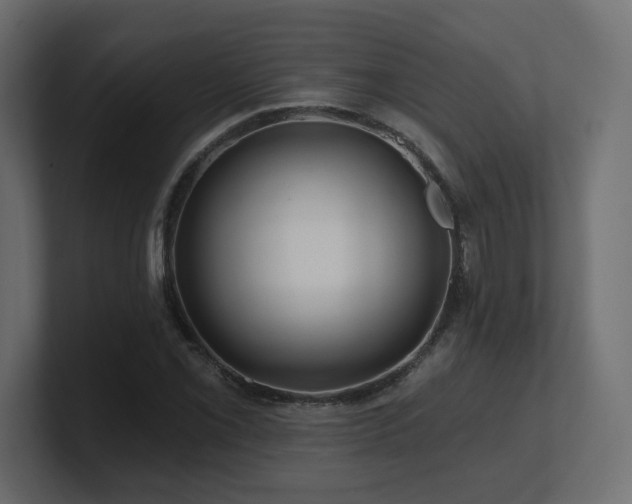 X0000101091069200806261446