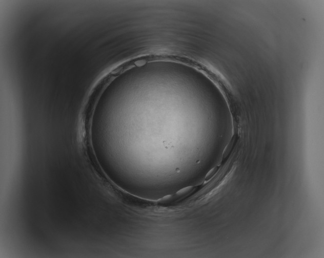 X0000101091070200806261446