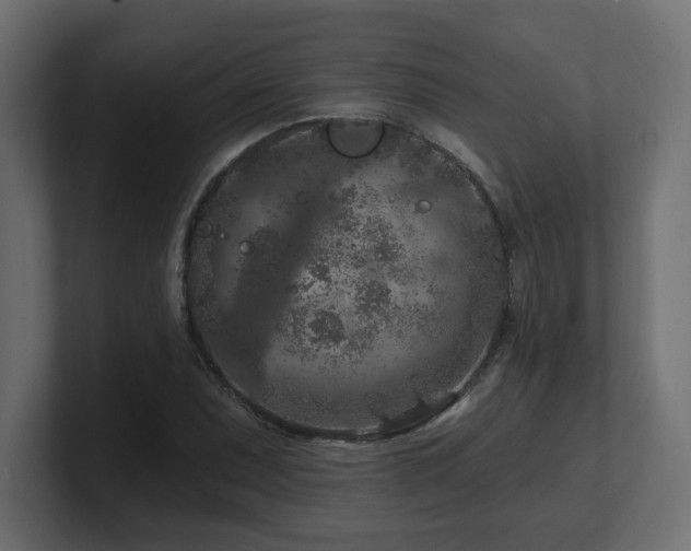 X0000101091071200806261446