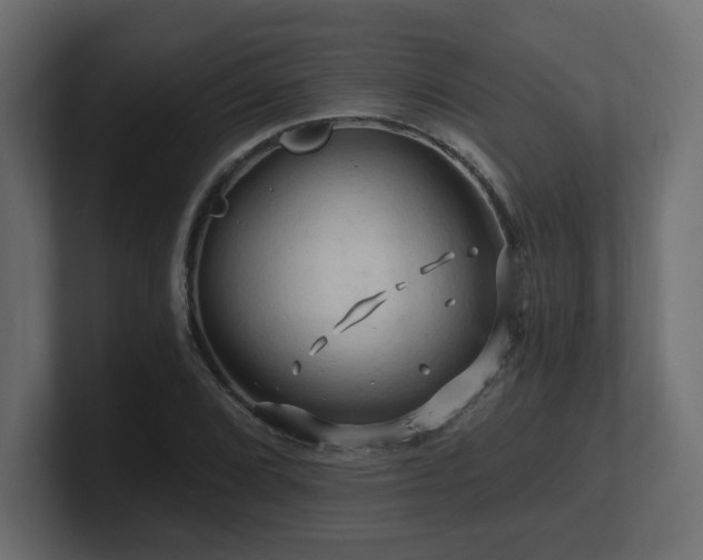 X0000101091072200806261446