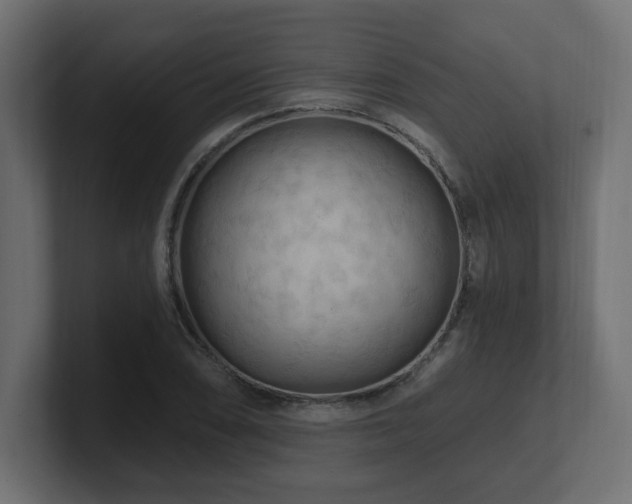 X0000101091074200806261446