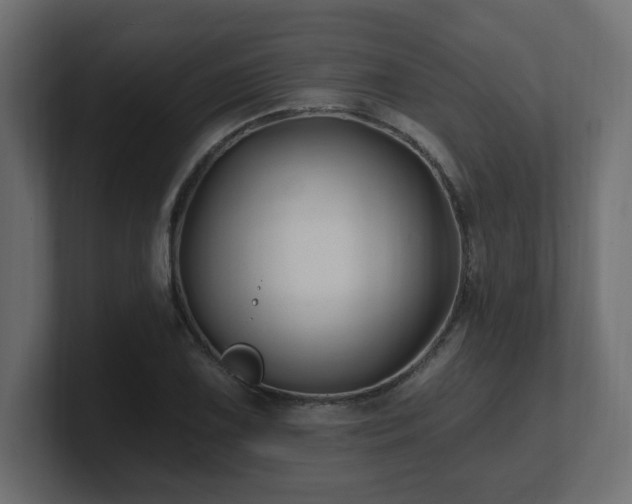 X0000101091075200806261446