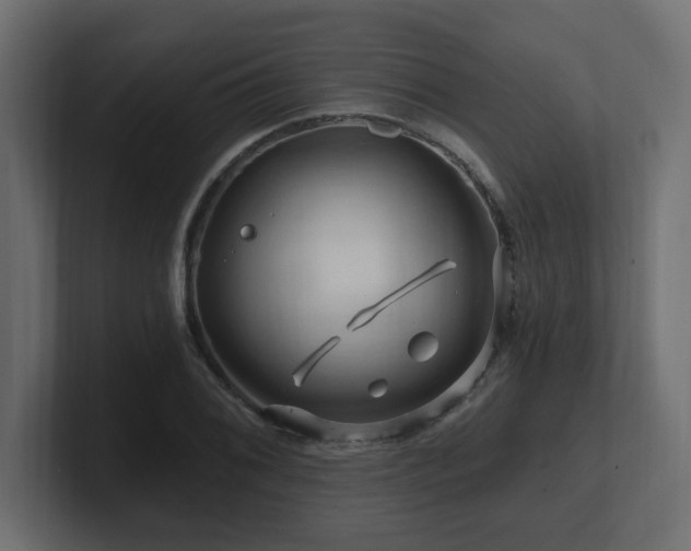 X0000101091076200806261446