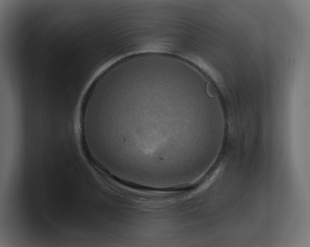 X0000101091077200806261446