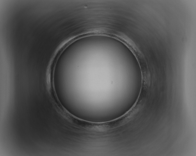 X0000101091078200806261446