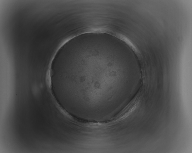 X0000101091079200806261446