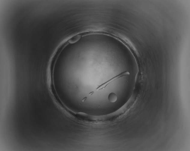 X0000101091080200806261446