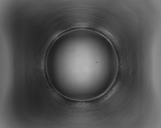 X0000101091081200806261446