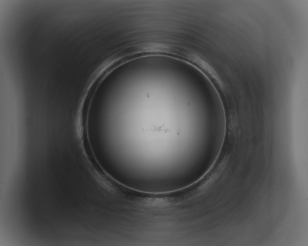 X0000101091082200806261446