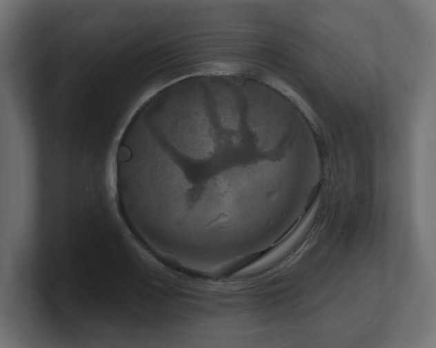 X0000101091083200806261446