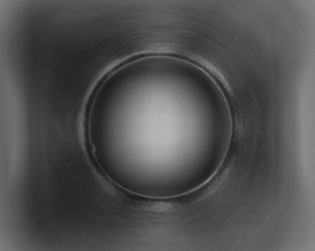 X0000101091085200806261446