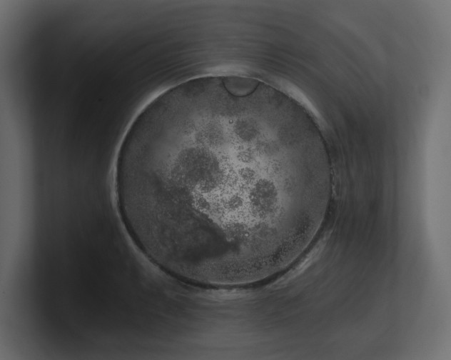 X0000101091087200806261446