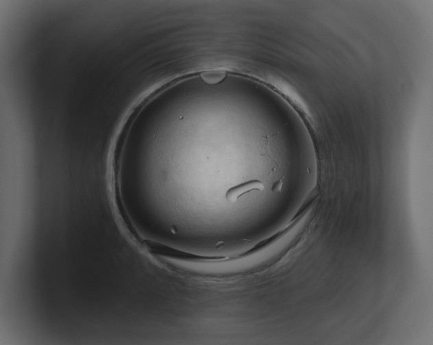 X0000101091088200806261446