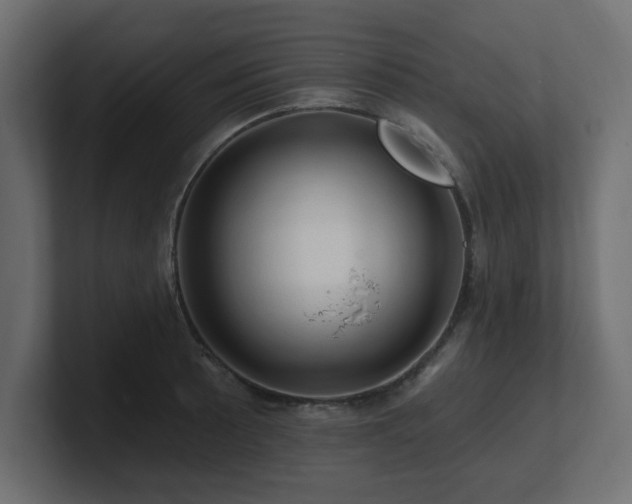 X0000101091089200806261446