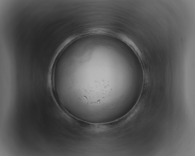 X0000101091090200806261446