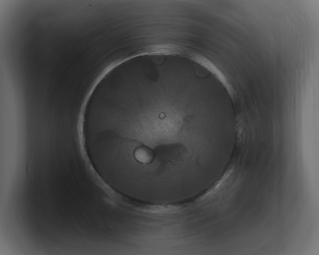 X0000101091091200806261446