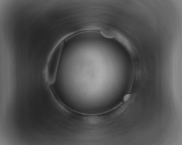 X0000101091092200806261446