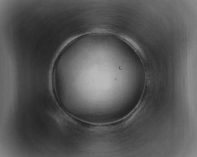 X0000101091094200806261446