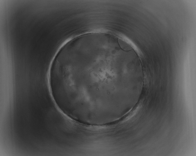 X0000101091095200806261446