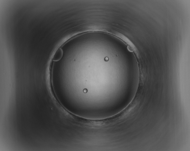 X0000101091096200806261446