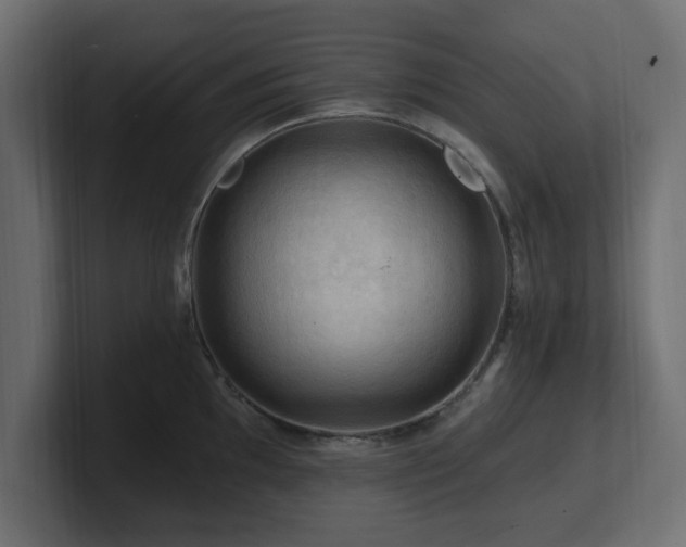 X0000101091097200806261446