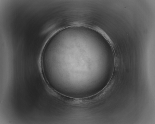 X0000101091098200806261446