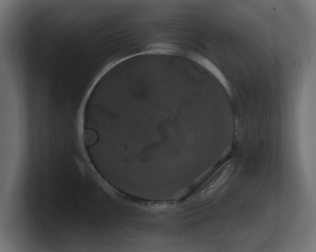 X0000101091099200806261446