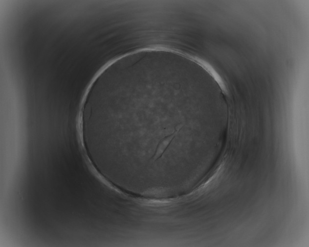 X0000101091100200806261446